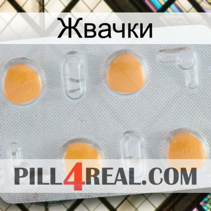 Жвачки 24